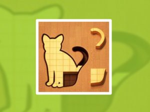 Animal Puzzle Shape Game