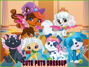Summer Pet Style Studio
