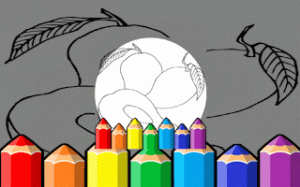 Fruit Palette Art Studio for Children