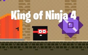 Ninja Ball Challenge Arcade