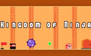 Ninja Path Runner Arcade