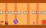 Ninja Path Runner Arcade