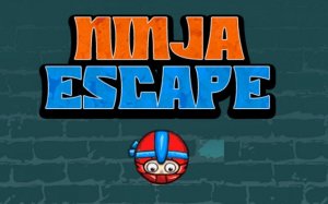 Ninja Escape: Run & Coin Dash Online Game