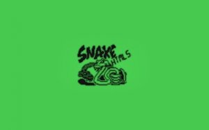 Retro Snake Revival Puzzle