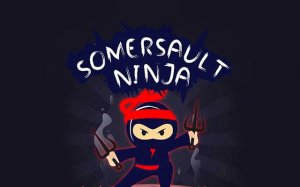 Ninja Hero Cats: Parkour Adventure Online Game