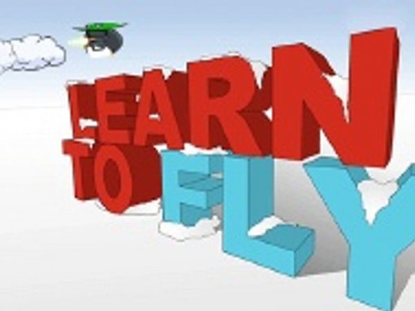 Learn to Fly Arcade Game
